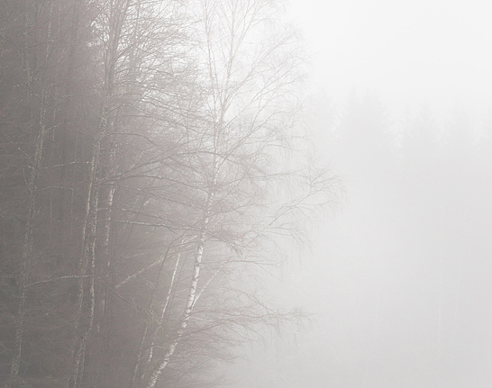 Панно и фотообои Affresco Фрески и фотообои ID13469
