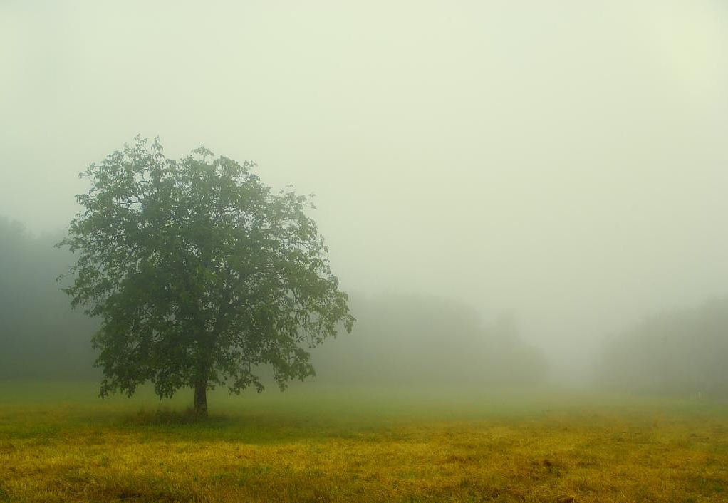 Панно и фотообои Affresco Фрески и фотообои ID12142