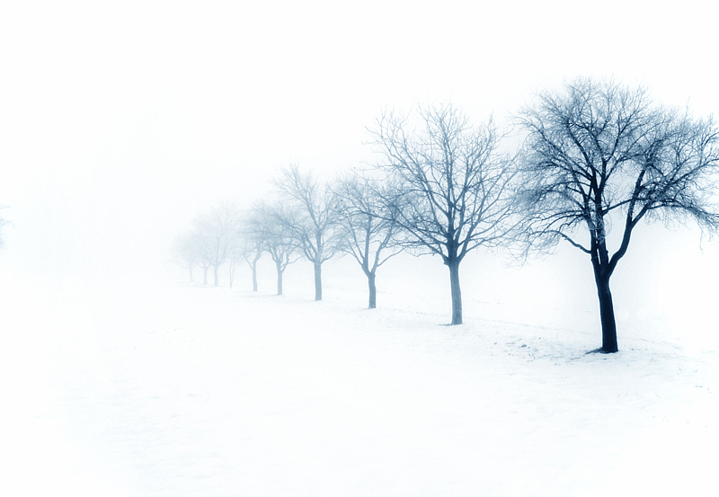 Панно и фотообои Affresco Фрески и фотообои ID12121