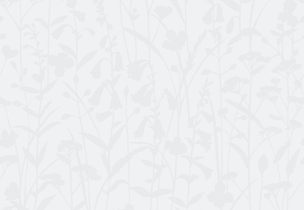 Обои Eco Decorama 2016 7004