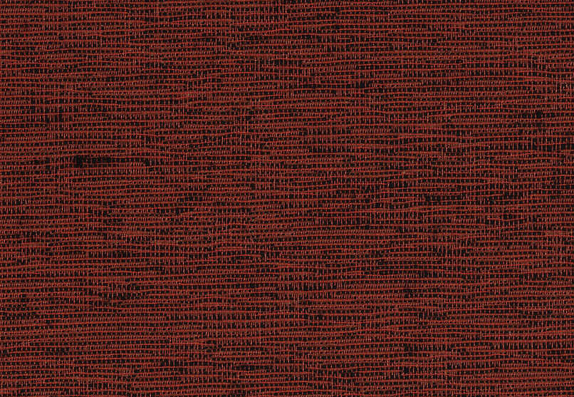 Обои Pierre Frey Graminees 2 FP374014