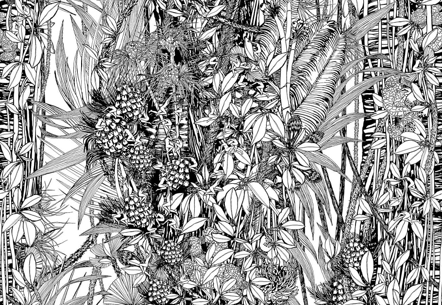 Обои Pierre Frey Jungle FP402002