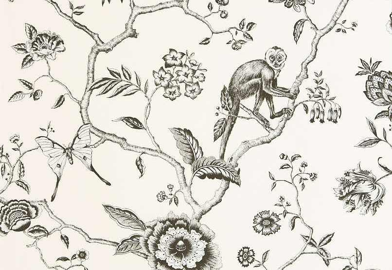 Обои Pierre Frey Les Dessins FP327001