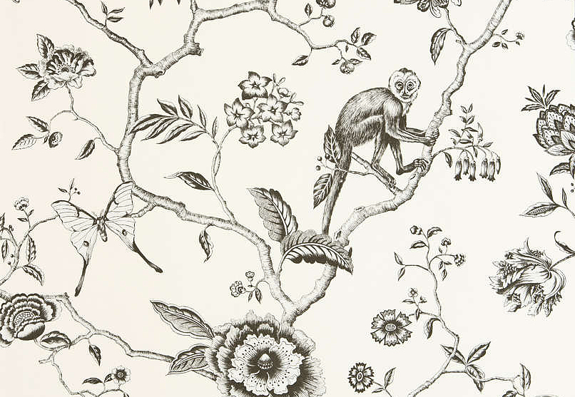 Обои Pierre Frey Les Dessins FP327001