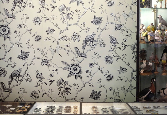 Обои Pierre Frey Les Dessins FP327004