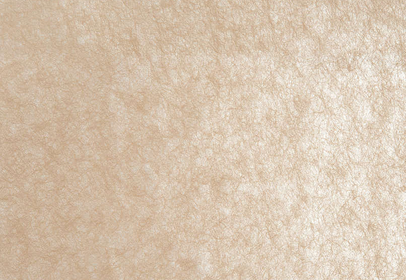 Обои Pierre Frey Racines FP359001