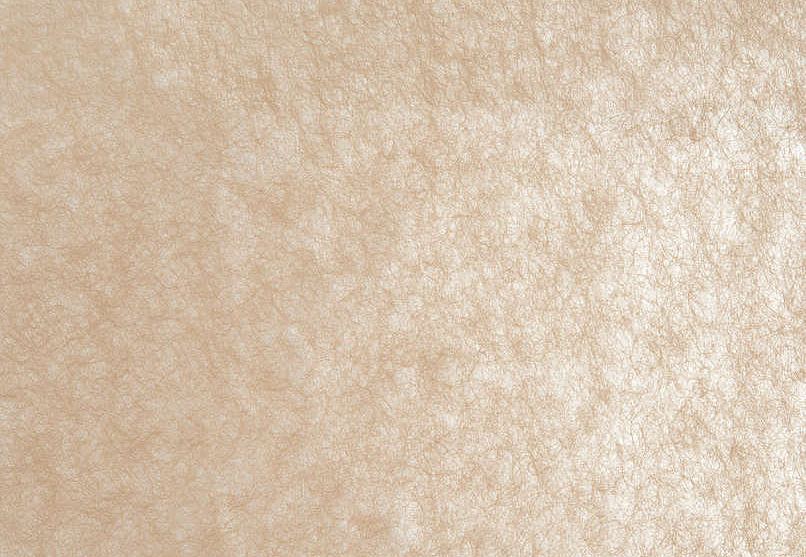 Обои Pierre Frey Racines FP359001