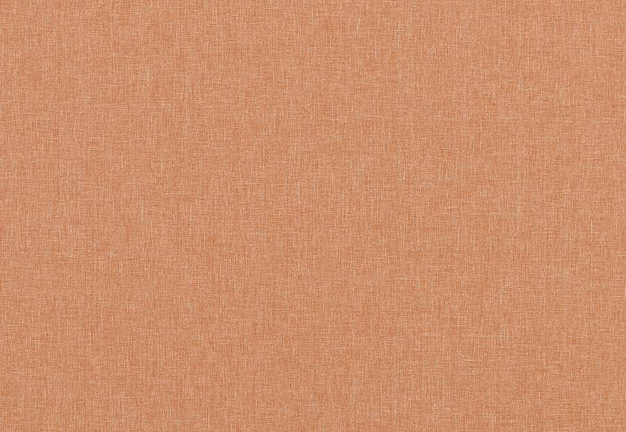 Ткань Baker Lifestyle Notebook Carnival Plain PF50420/324