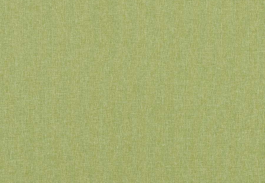 Ткань Baker Lifestyle Notebook Carnival Plain PF50420/735