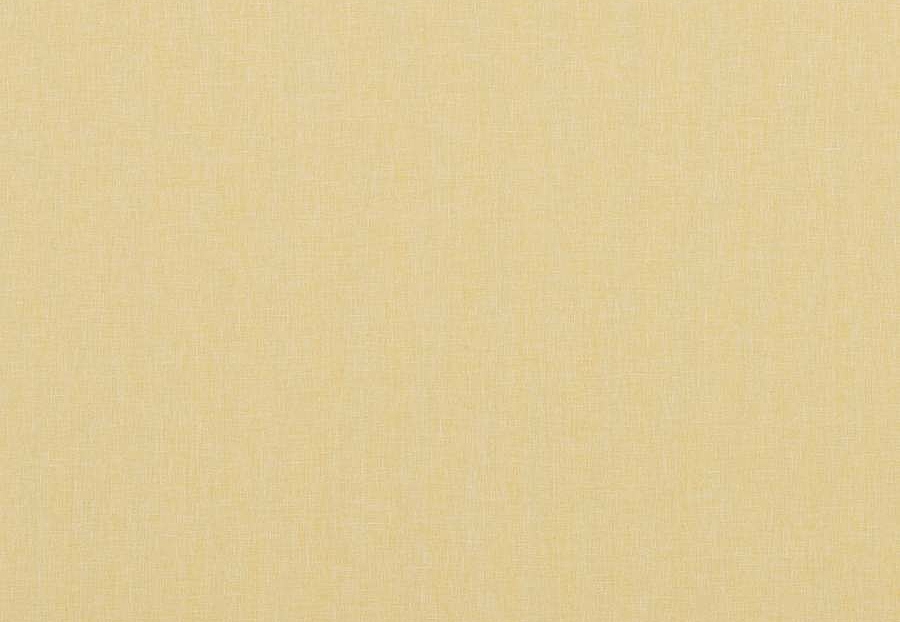Ткань Baker Lifestyle Notebook Carnival Plain PF50420/814
