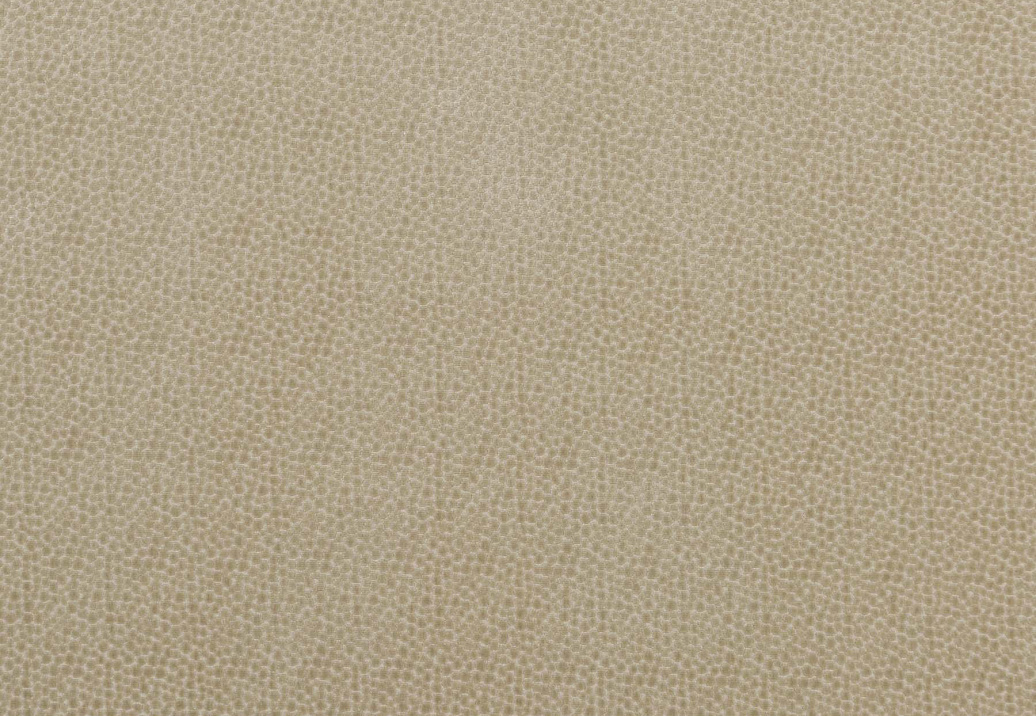 Ткань Baker Lifestyle Carnival Velvet PF50423/225
