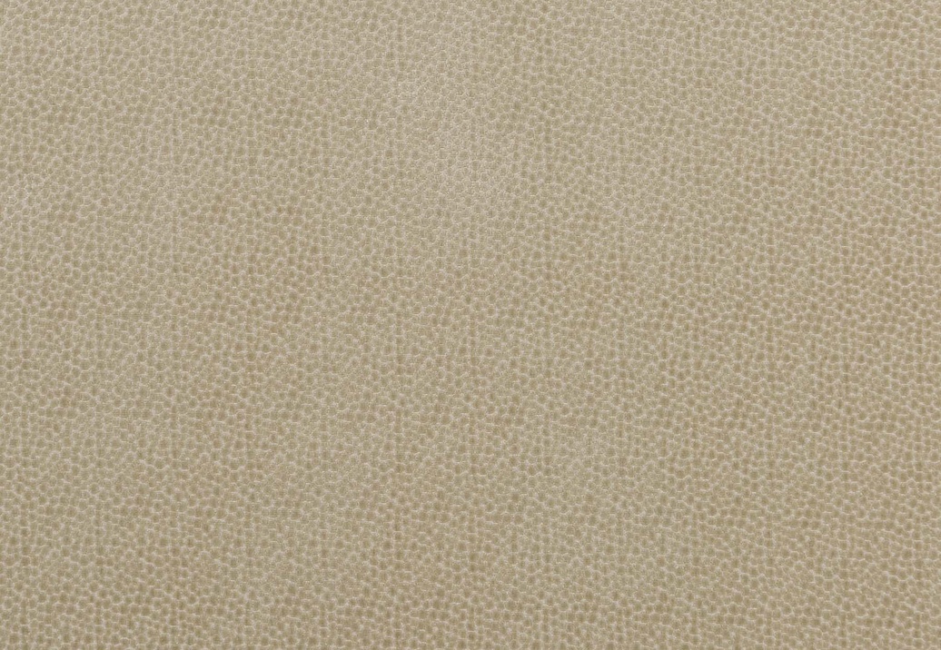 Ткань Baker Lifestyle Carnival Velvet PF50423/225