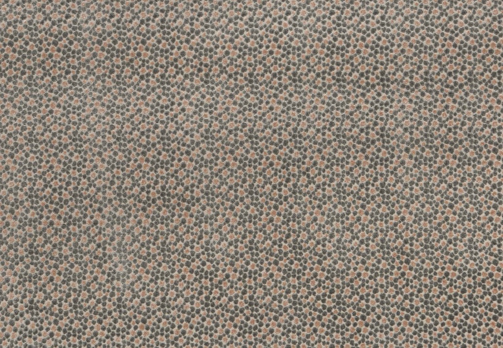 Ткань Baker Lifestyle Carnival Velvet PF50424/440
