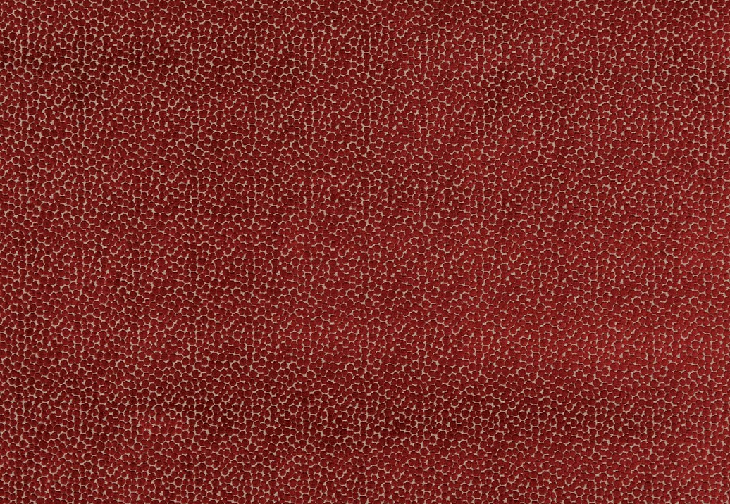 Ткань Baker Lifestyle Carnival Velvet PF50423/450