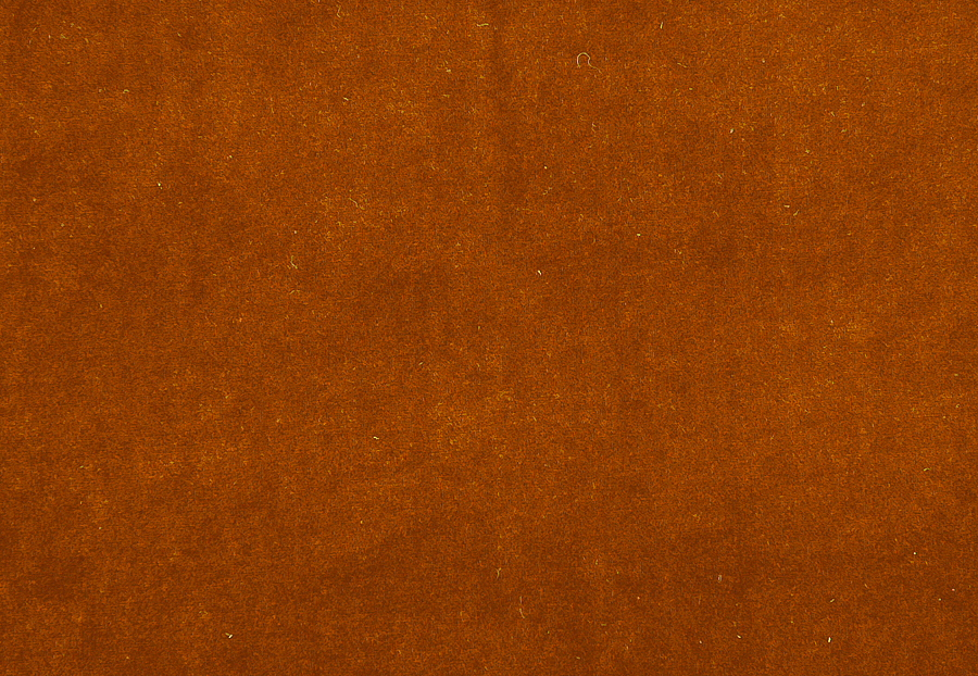 Ткань Clarke & Clarke Alvar F0753/20