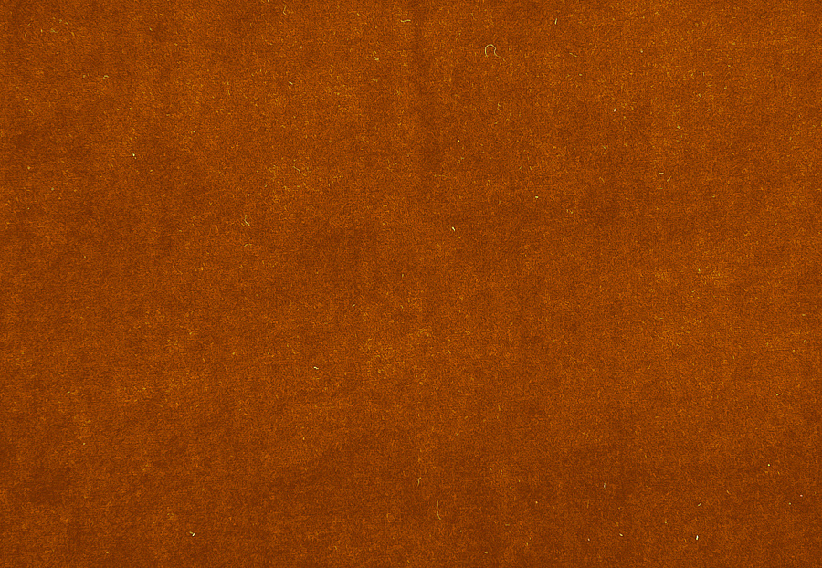 Ткань Clarke & Clarke Alvar F0753/20