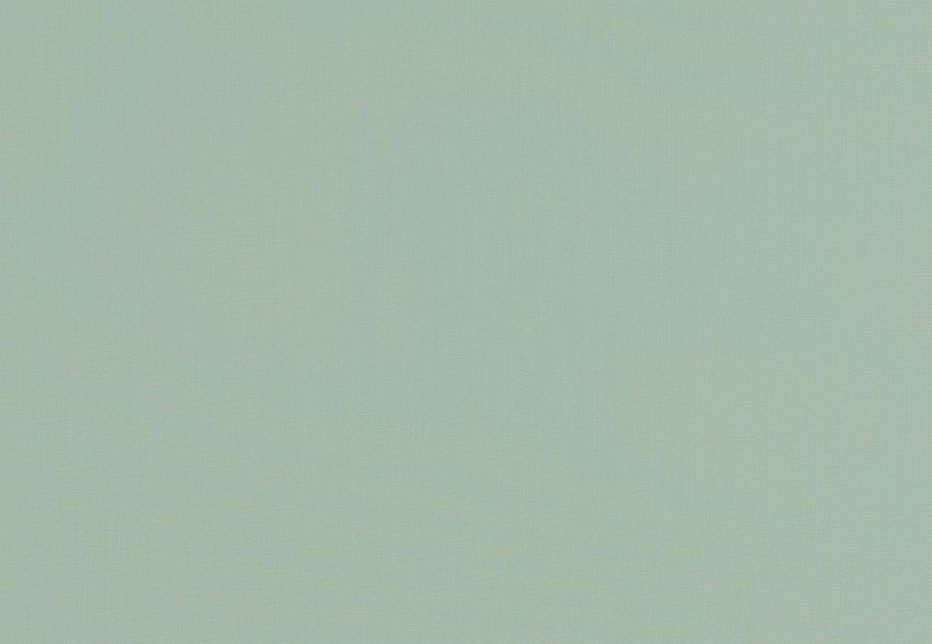 Ткань Clarke & Clarke Tatton Linens F0354/10