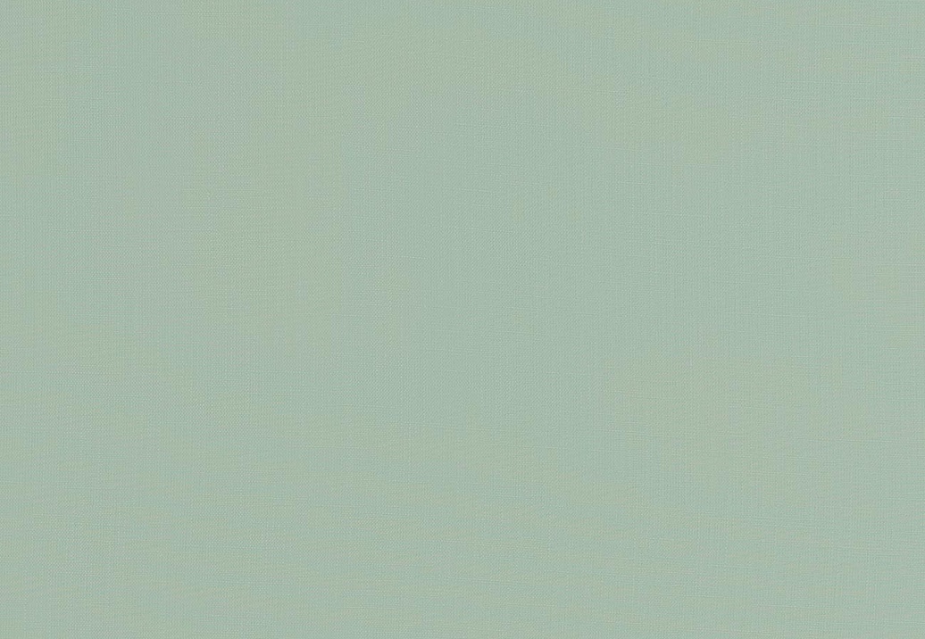 Ткань Clarke & Clarke Tatton Linens F0354/10