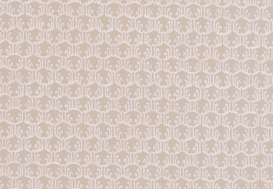 Ткань Clarke & Clarke Salon F0677/02