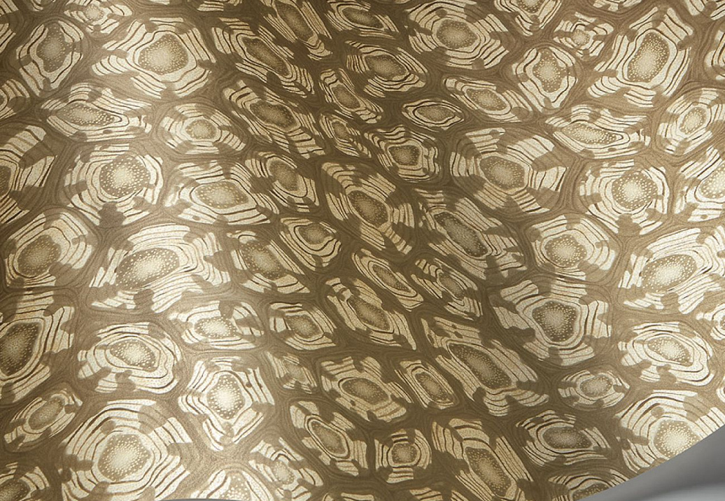 Обои Cole & Son Ardmore Jabula 119/4020
