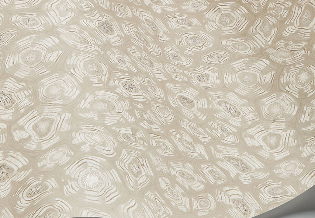 Обои Cole & Son Ardmore Jabula 119/4021