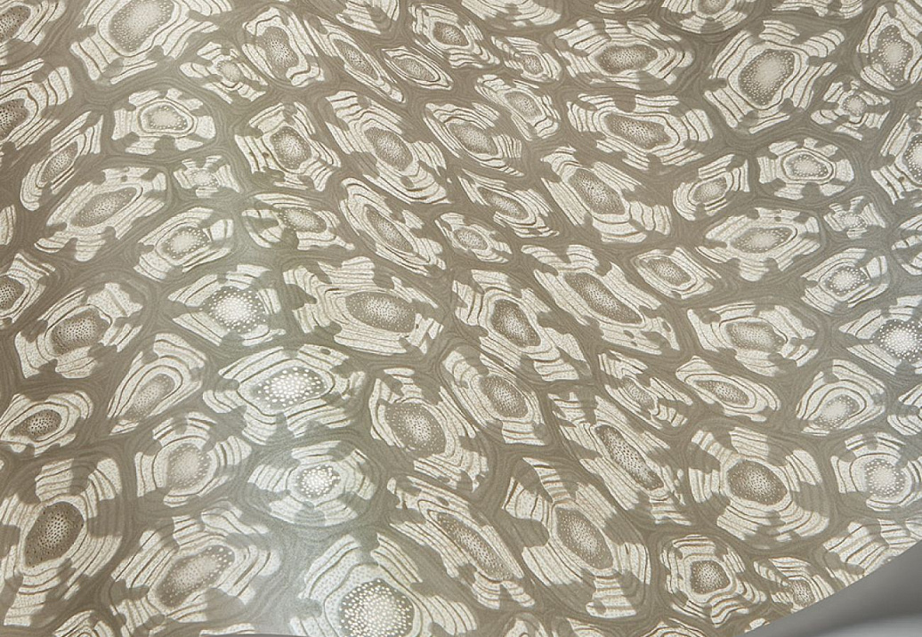 Обои Cole & Son Ardmore Jabula 119/4022