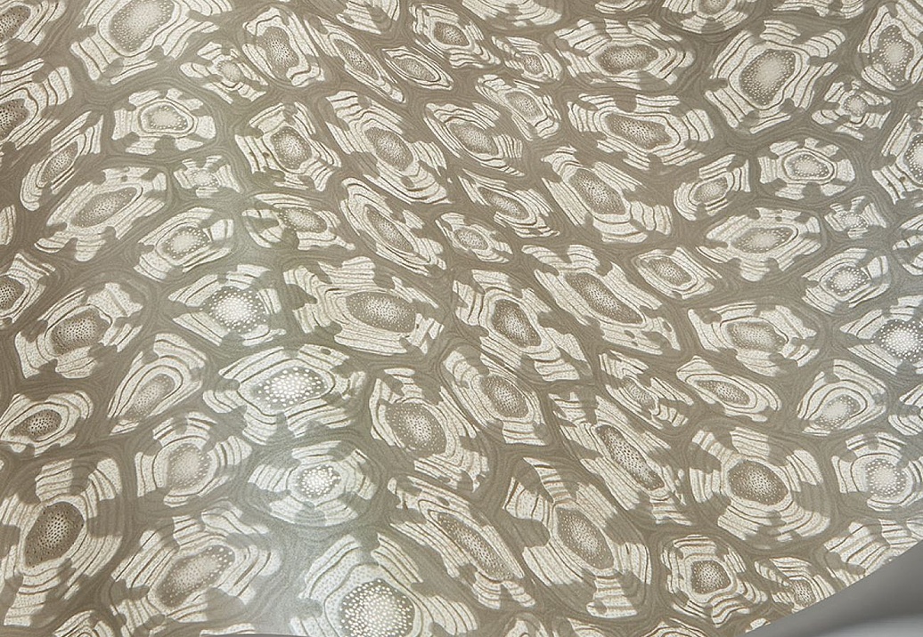 Обои Cole & Son Ardmore Jabula 119/4022