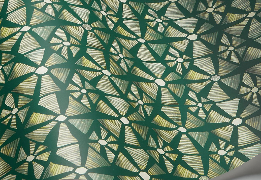 Обои Cole & Son Ardmore Jabula 119/6030