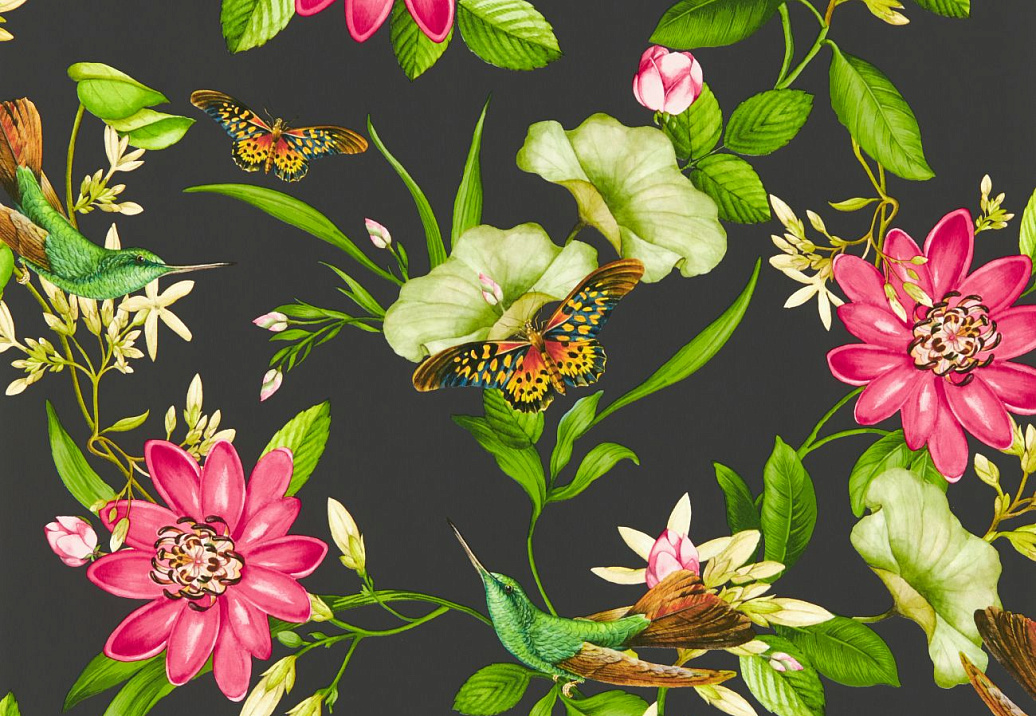 Обои Clarke & Clarke Botanical Wonders W0132/03