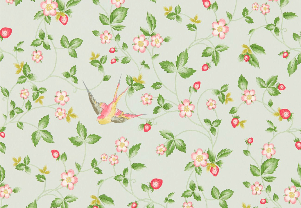 Обои Clarke & Clarke Botanical Wonders W0135/02