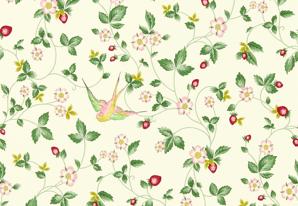 Обои Clarke & Clarke Botanical Wonders W0135/03