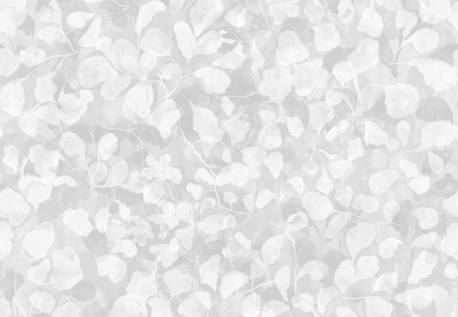 Обои Innovations Collection 2 PET-01